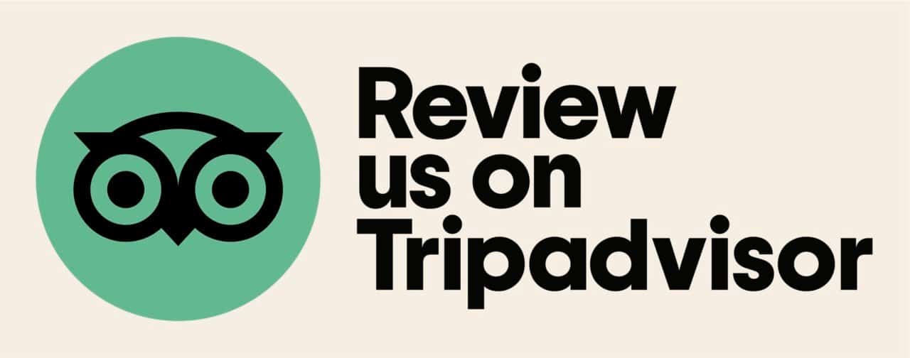 Review-Us-Digital-Download